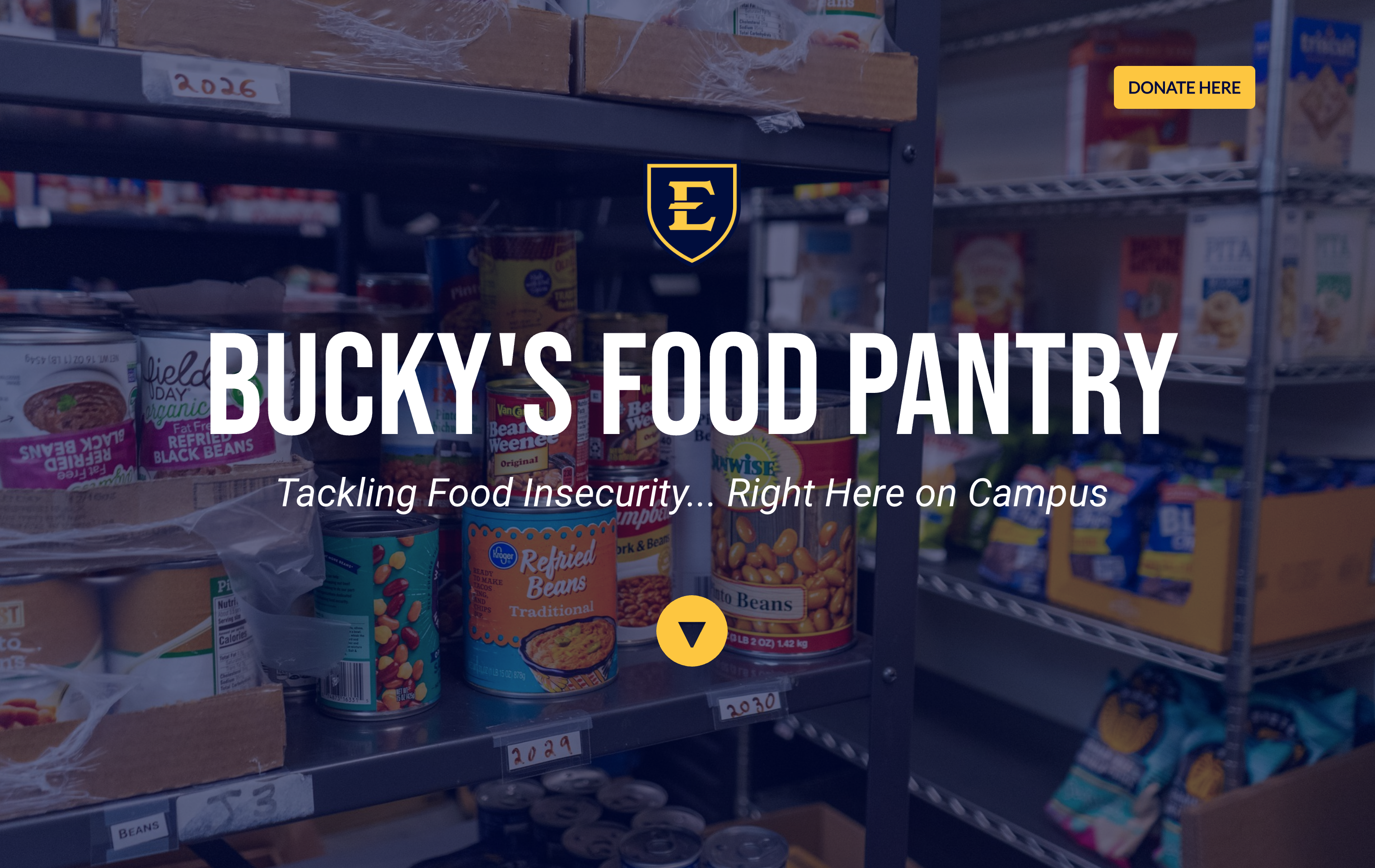 Digital annual report example - financial summary