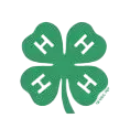 4-H Logo
