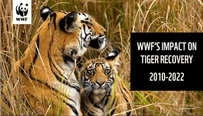 Best Nonprofit Annual Report Example: WWF