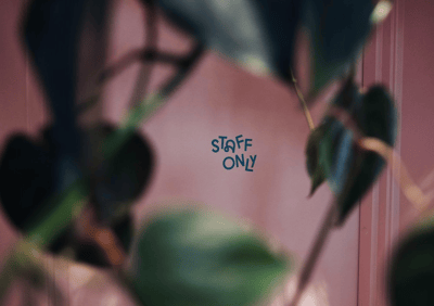 Staff, Board Lists and Your Nonprofit Annual Report – Yearly