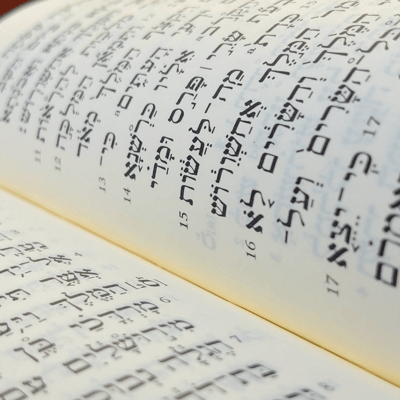 How to create a Storyraise report in a foreign language
