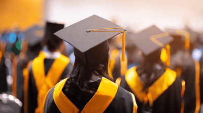 Top 3 higher education examples of digital impact reports