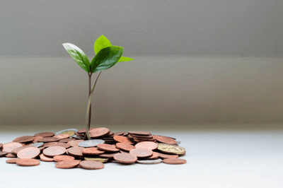 3 Reasons Why Small Donations Lead to Big Success – Yearly