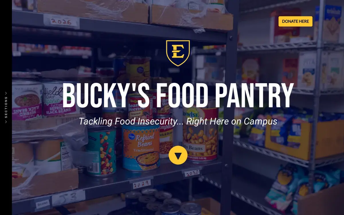 East Tennessee State University donor reports cover