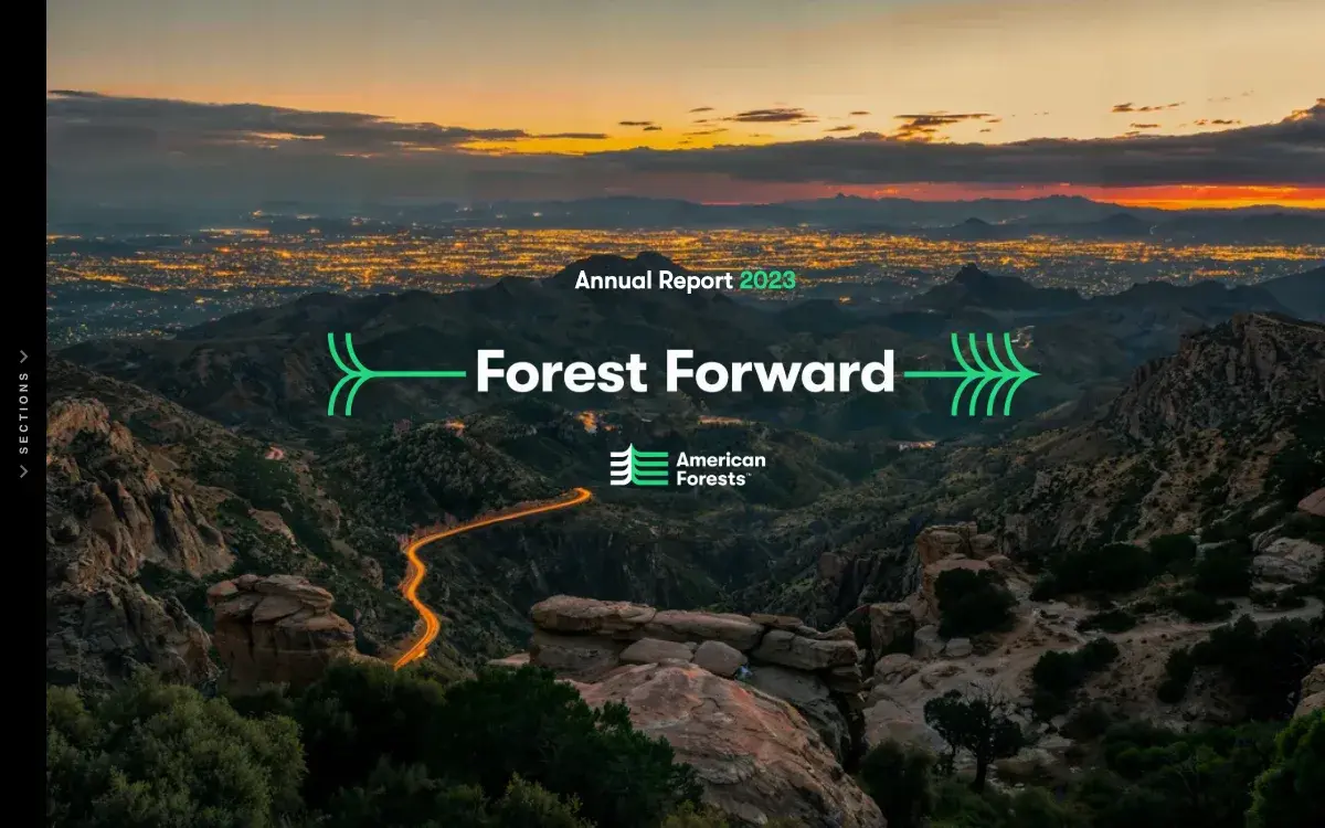 American Forests annual report cover