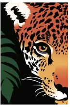 Rainforest Trust logo